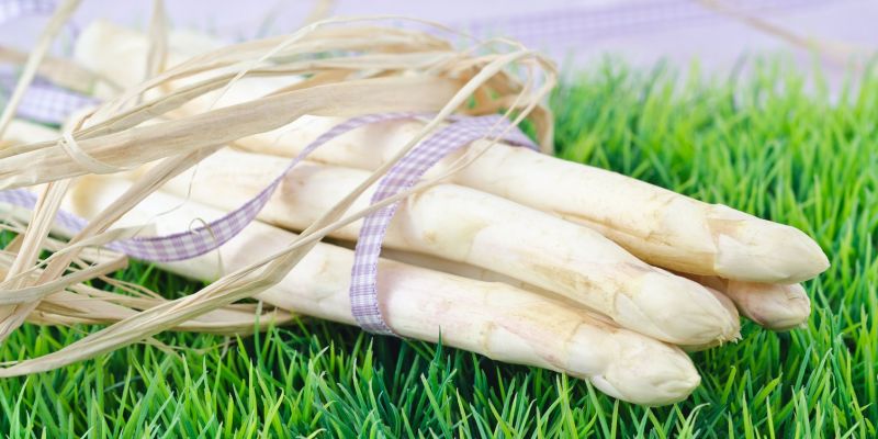 Spargel
