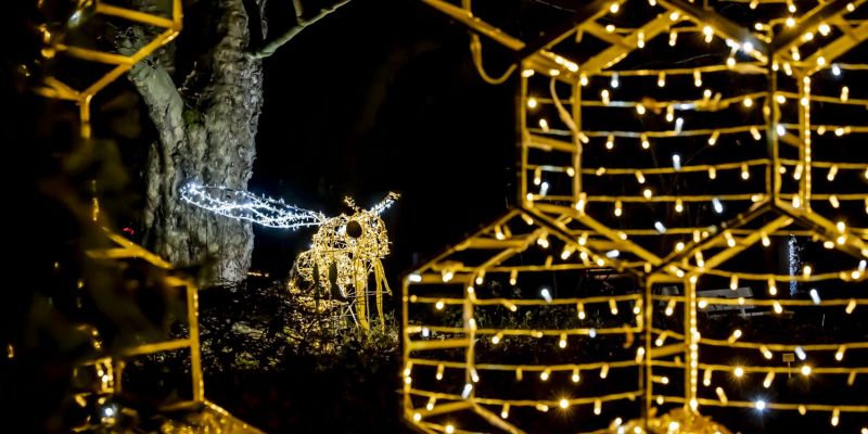 Christmas Garden Insel Mainau 2021 - Honiggarten